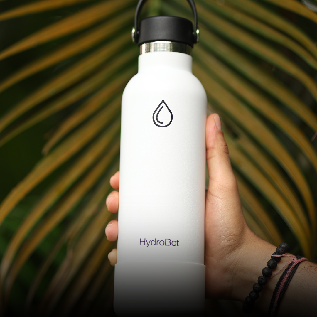 Sleek black French press with wooden handle on a kitchen countertop.