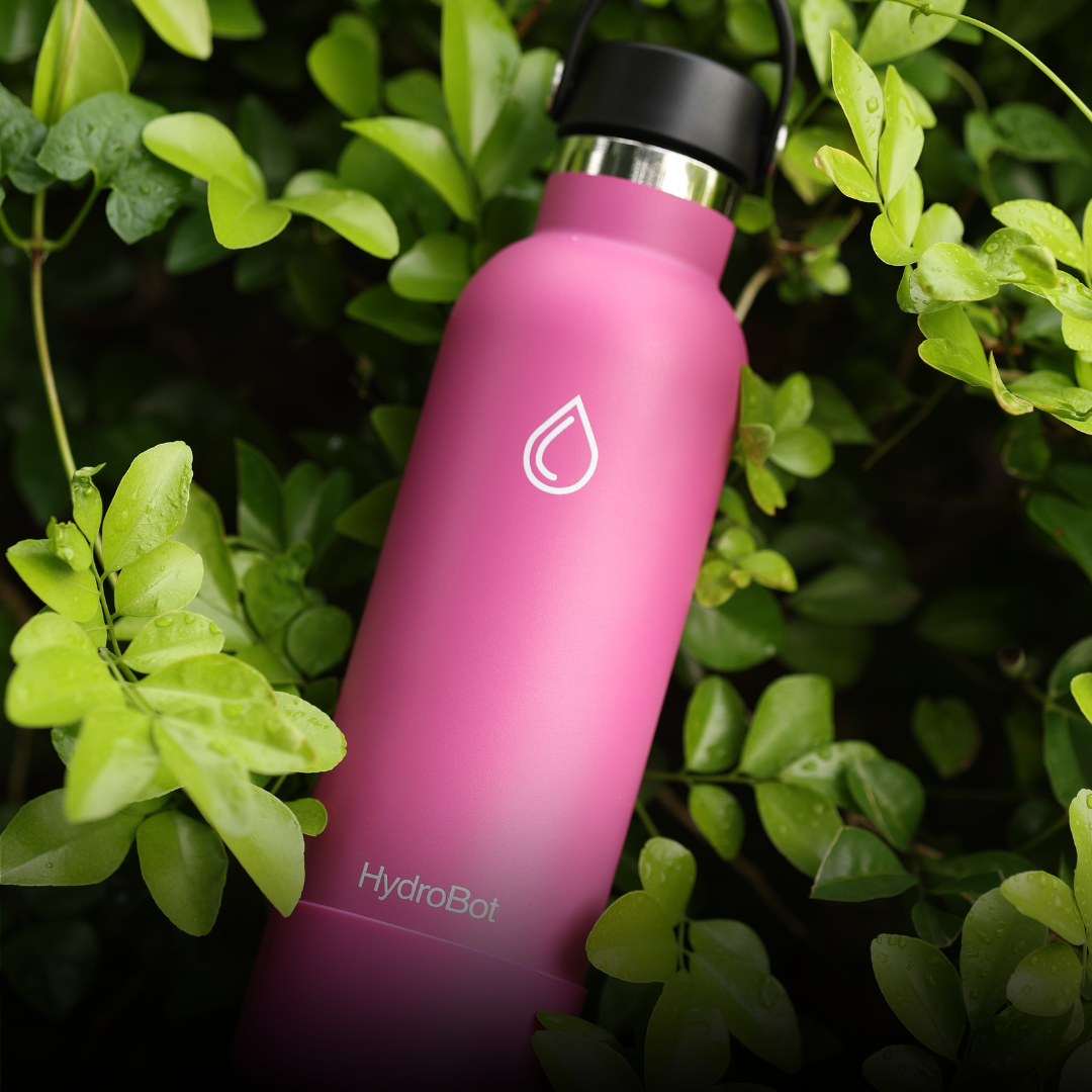Sleek black French press with wooden handle on a kitchen countertop.